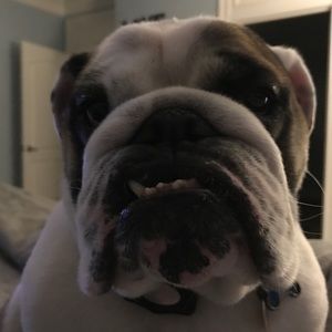 Meet your Posher, Patrick